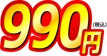 990円（税込）