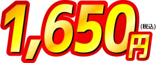1,650円（税込）