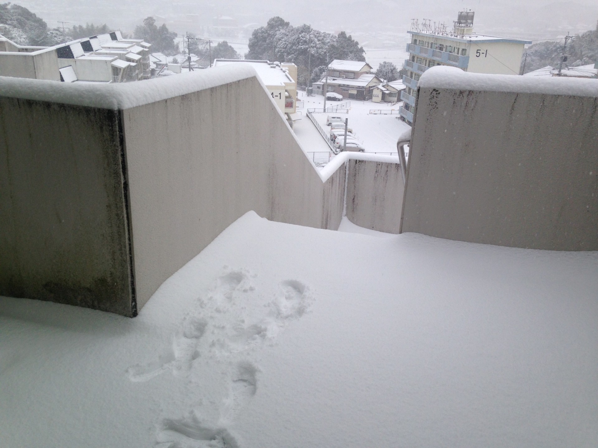 今年の雪は Gc相浦